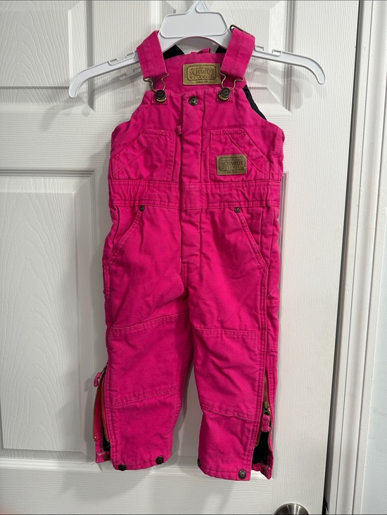schmidtt Other - Kids Hot Pink Insulated Bib Overalls